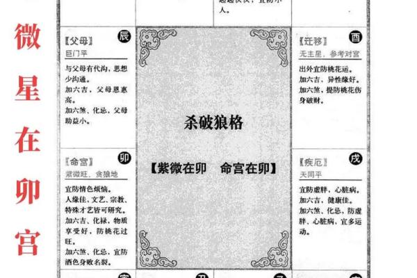 如何准确排出紫微命盘并解读运势