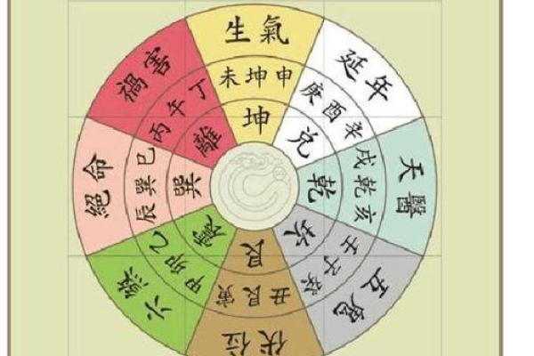 从震命看东四命如何影响人生走向