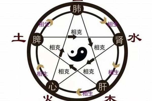 马的五行属性解析与命理影响