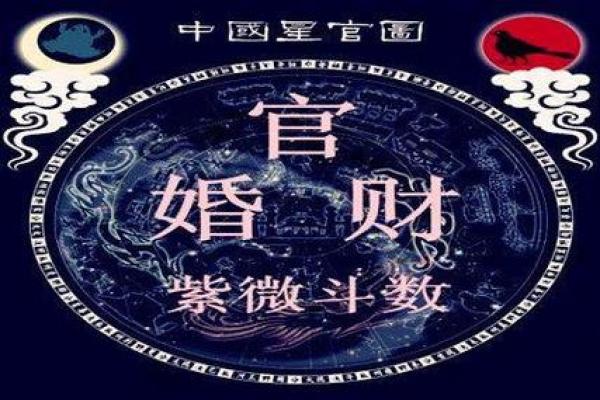 紫微斗数如何帮助你规避人生风险