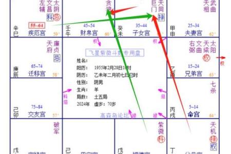 飞星盘排盘详解：了解每年运势变化