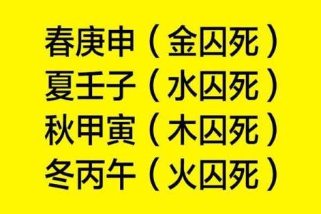 曹字五行属什么含义解析与命理影响