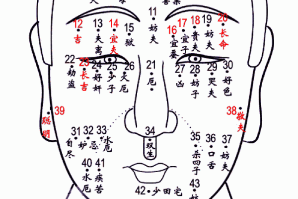 志痣相：如何通过痣的位置解读个性与命运