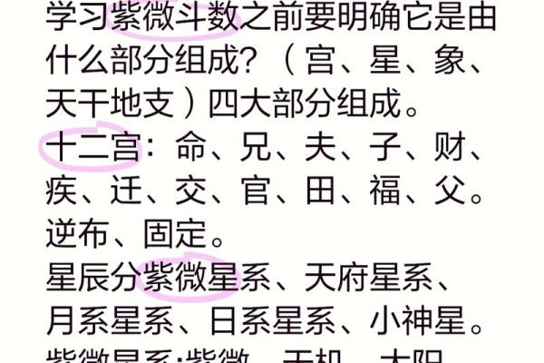 如何通过命天干地支解读人生运势