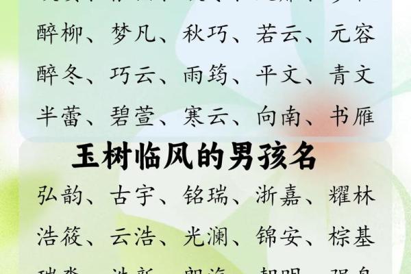 生辰八字起名指南：根据五行八字定制独一无二的名字