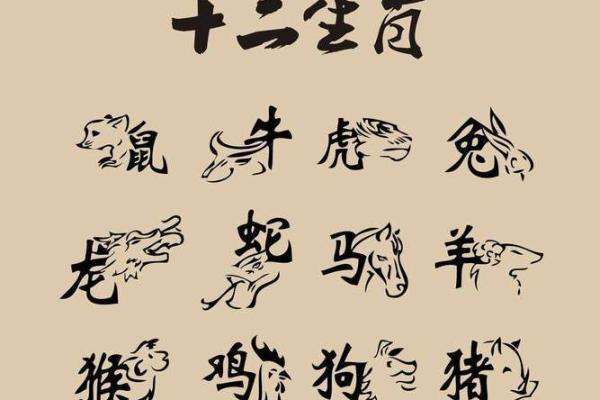 生肖冲煞对婚姻生活的潜在影响