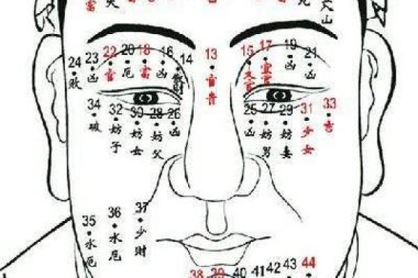 腿部痣相与命运的关系分析
