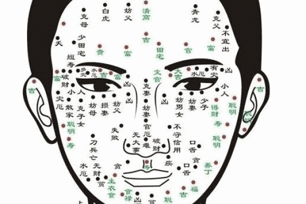痣相男人命运解析图解全览