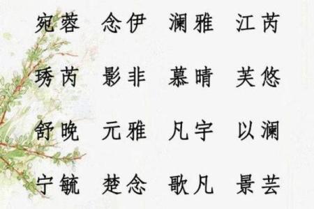 姜姓女孩名字推荐：从传统到现代的优雅选择