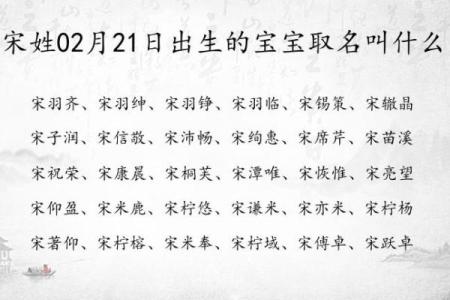 管姓男宝宝取名的创意与推荐指南