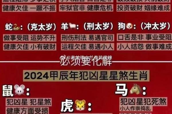 属相相冲对个人命运的深刻影响