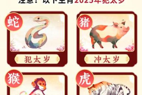 属相相冲对个人命运的深刻影响