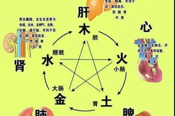 六壬排盘中的五行平衡与命运调节