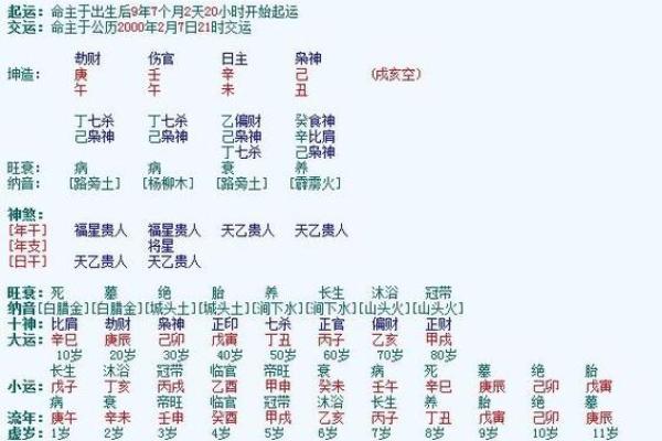 生辰八字解析：如何通过八字了解命运走势