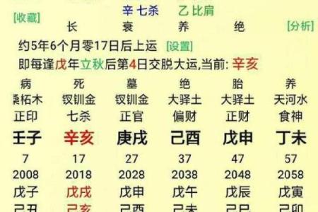 生辰八字解析：如何通过八字了解命运走势