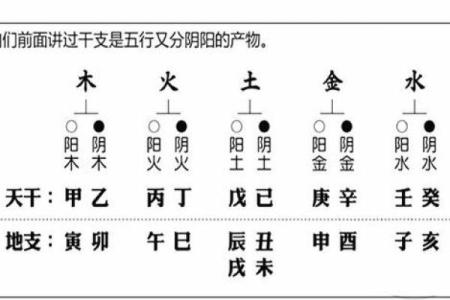 魏字的五行属性解析及其在命理中的意义