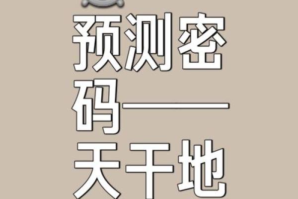 解密名字八字测试，掌握个人运势的奥秘