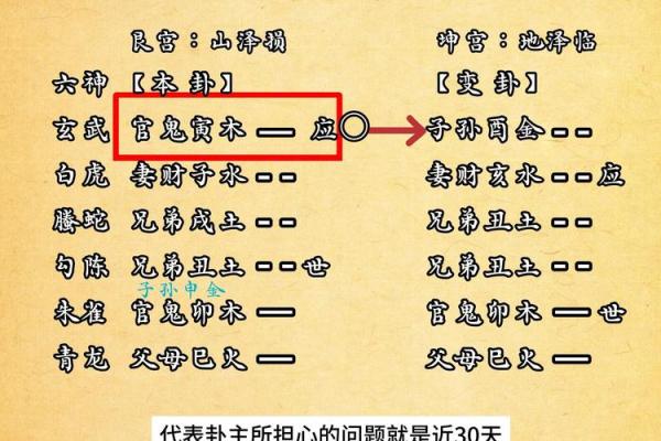 六爻在线排盘解卦：掌握卦象解析，预测未来走向