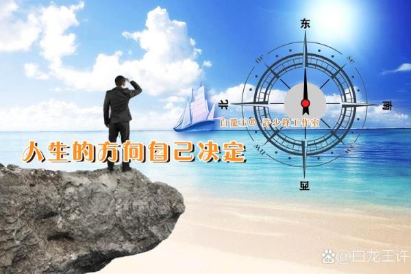 精准在线排命盘，发现你人生中的机遇与挑战