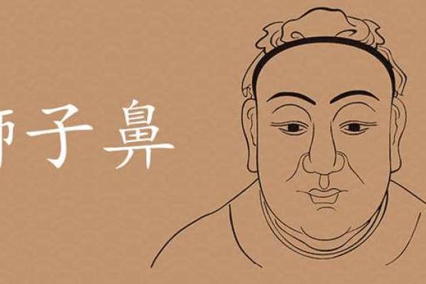 狮人面相解析：从五官看性格与命运的关系