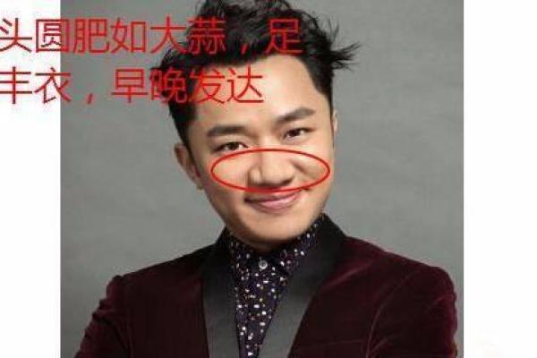 狮人面相解析：从五官看性格与命运的关系