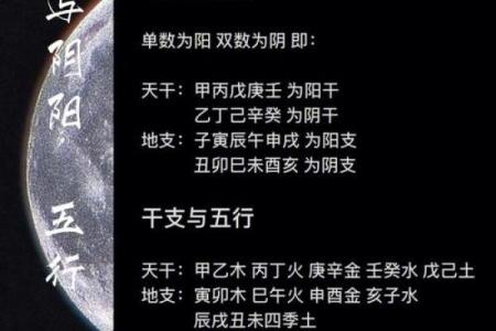 六壬排盘在不同领域的实际应用