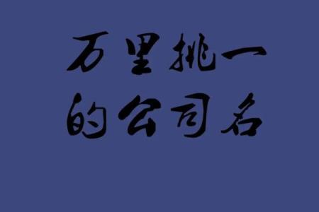 公司起名服务：哪家公司更符合你的需求