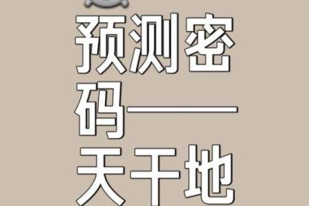 解密名字八字测试，掌握个人运势的奥秘