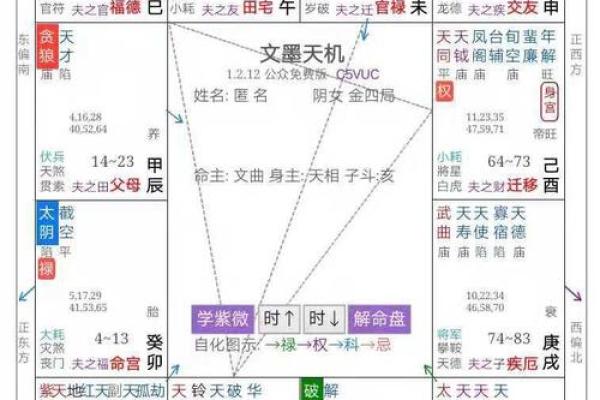 掌握紫薇流年排盘技巧，轻松预测未来运势走势