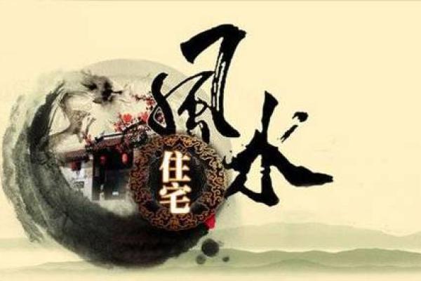 室内风水的优化与生活质量提升