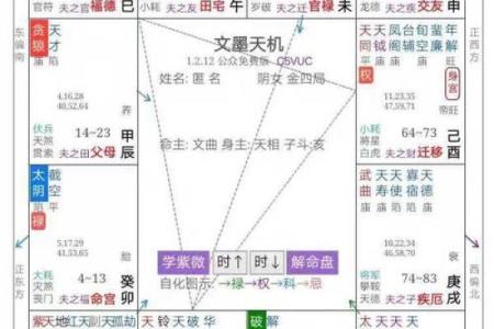 掌握紫薇流年排盘技巧，轻松预测未来运势走势