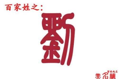 给属鸡刘姓男宝宝起个独特的名字有何讲究