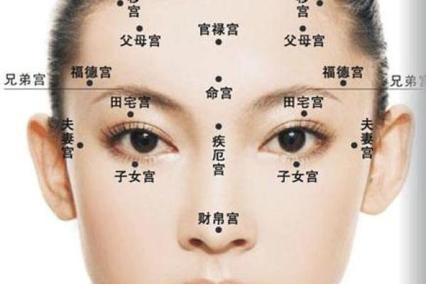 鼻子与运势：面相学如何帮助你发现人生密码