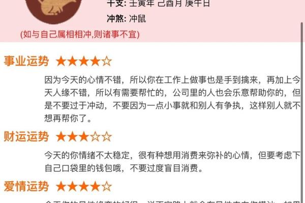 如何理解生肖冲煞对个体运势的具体影响