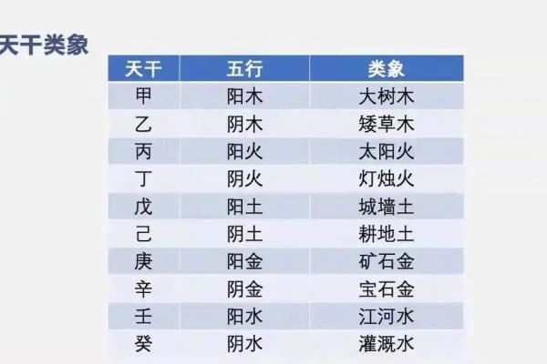 日天干合在命理中的重要性与影响