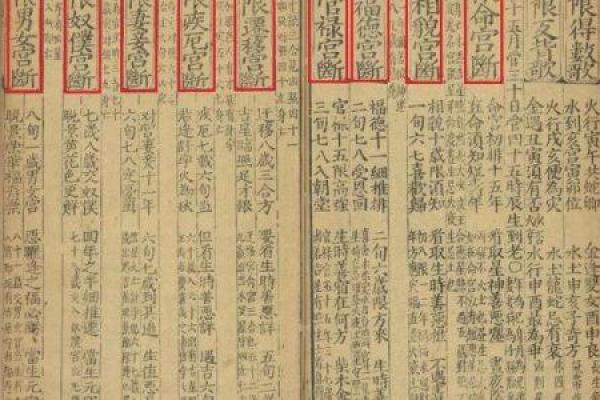 严宽八字解析：如何从命理看明星性格与事业轨迹