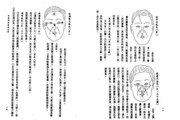 面相先生的智慧：通过面相看透人生轨迹