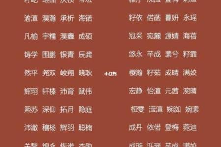 鸡年女宝宝取名的最佳选择与注意事项