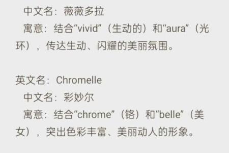 文化公司取名创意大全 让品牌更具独特魅力
