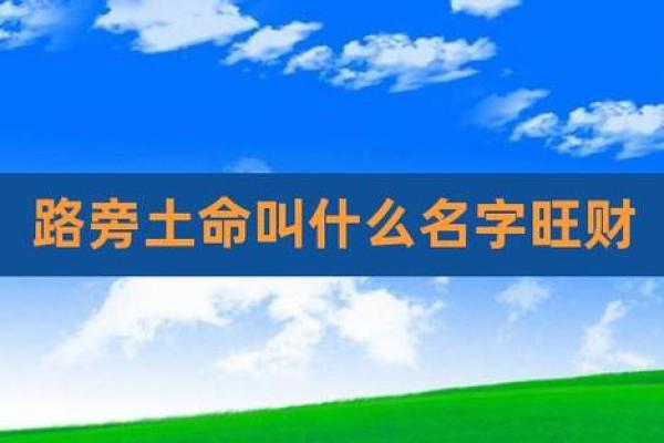壁上土命与其他土命的区别与关系
