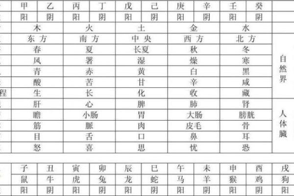 根据生辰五行分析，发现你的幸运与挑战