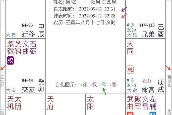 紫微排盘各宫详批免费解读，掌握命运脉络