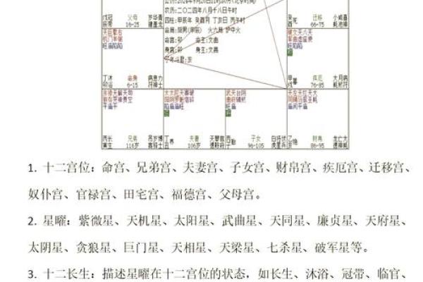 紫微排盘各宫详批免费解读，掌握命运脉络