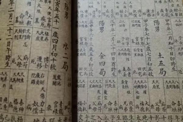 紫徽斗数排盘解析：揭开命运奥秘的第一步
