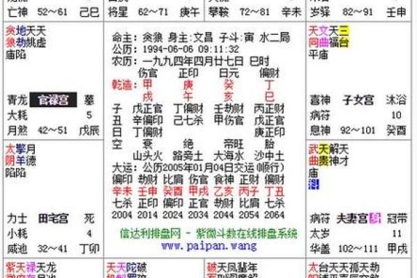 紫徽斗数排盘解析：揭开命运奥秘的第一步