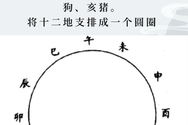 属相相冲与健康的关系