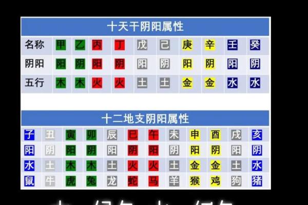 纯阳八字在命理学中的重要性