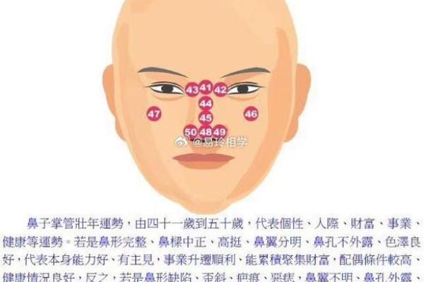从鼻型看性格：面相分析如何解读你的内心世界