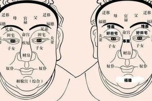 从鼻型看性格：面相分析如何解读你的内心世界
