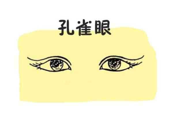 领导面相分析：如何通过面部特征识别领导潜力